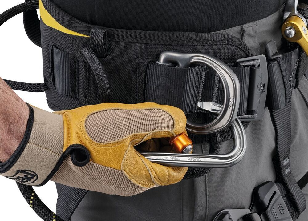 Petzl  ASTRO® International Version