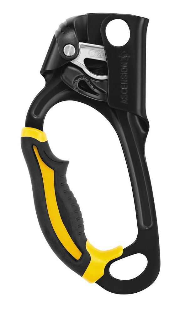 Petzl  ASCENSION