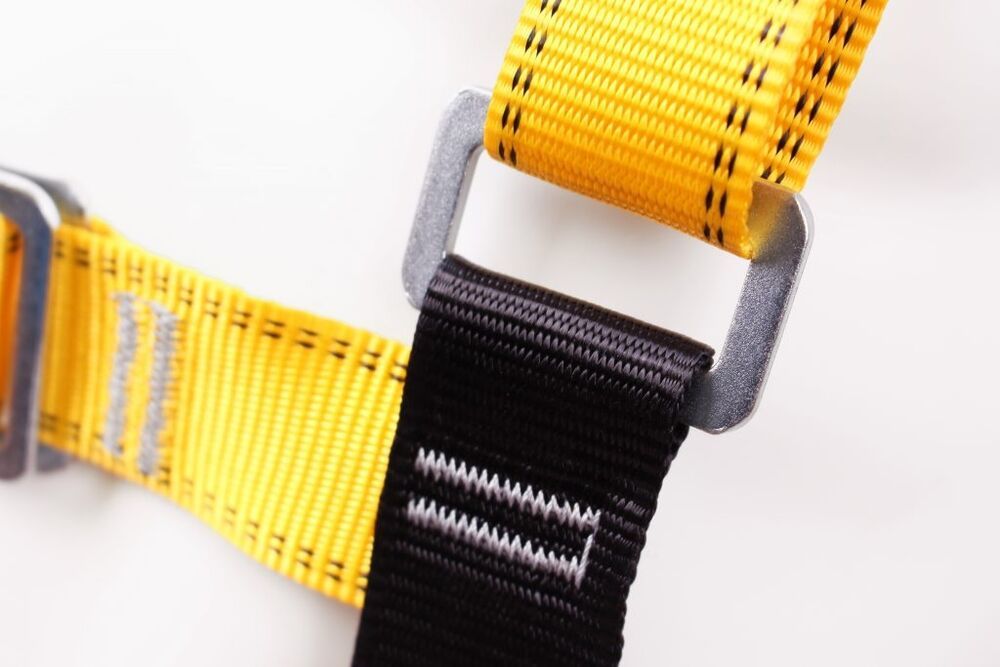 Rear D Harness