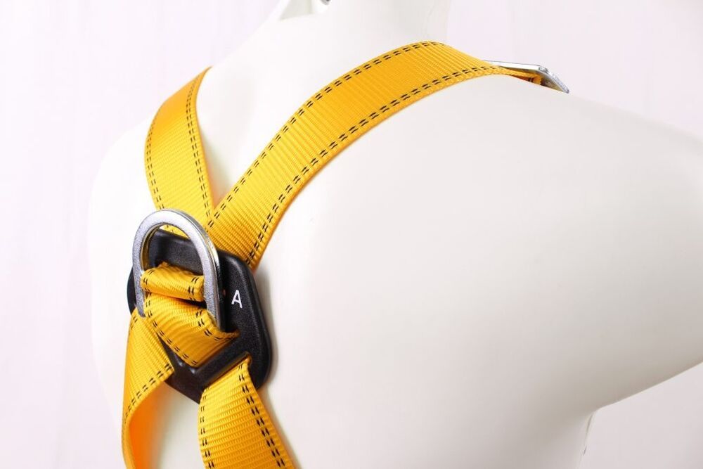Rear D Harness