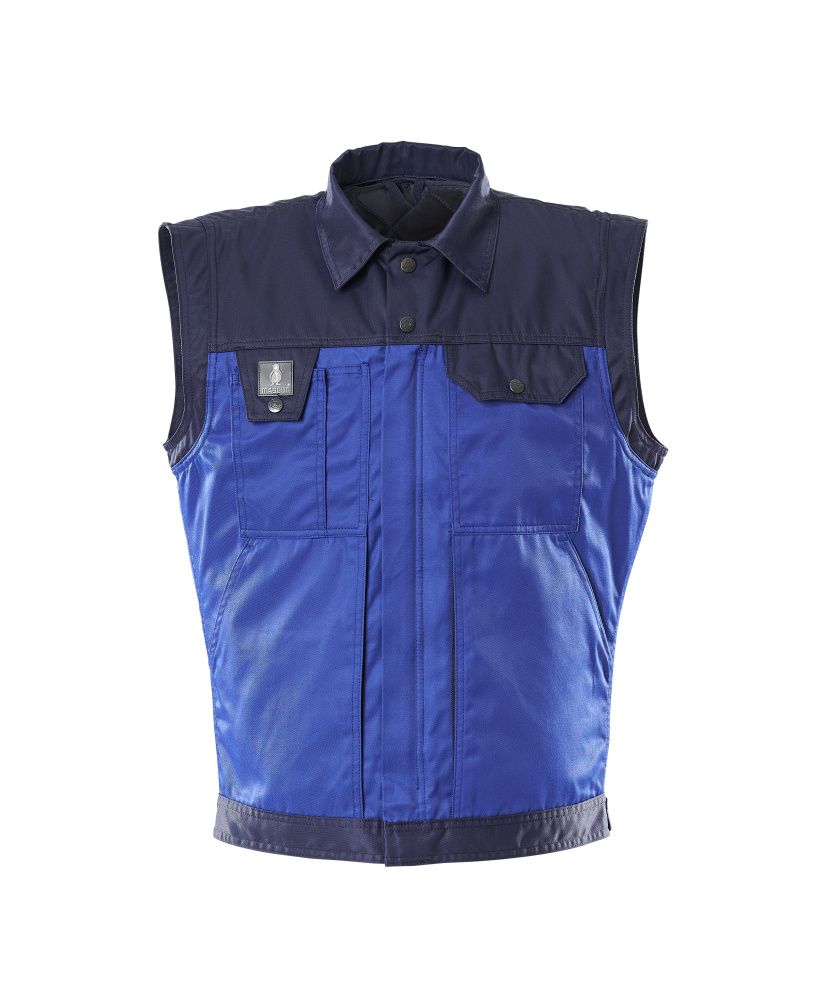Mascot Image Wintervest 00989