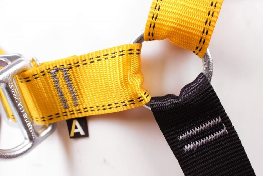 Front & Rear D Harness