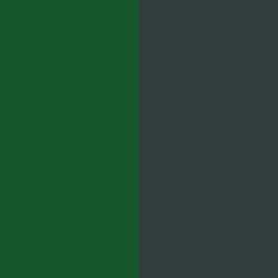 474 spruce/darkest spruce