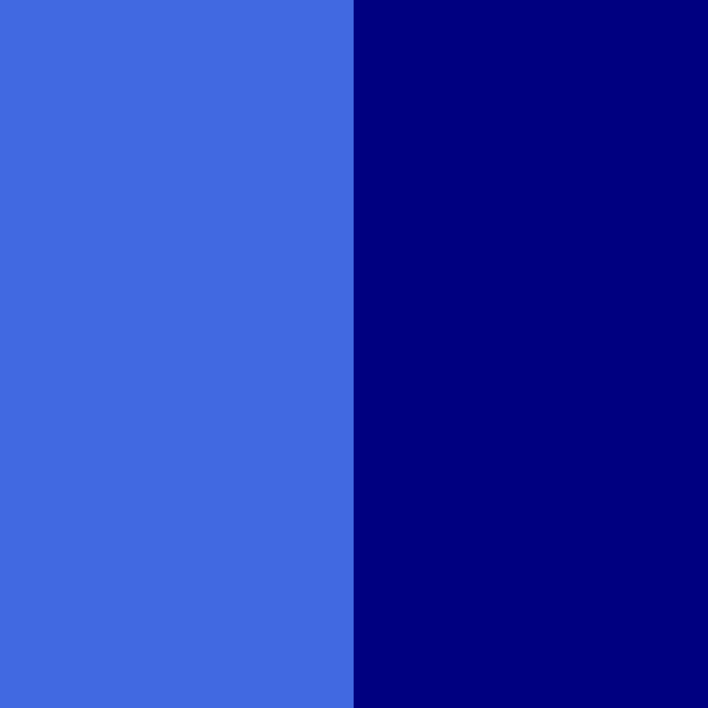 royalbluenavy