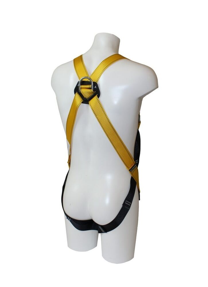 Rear D Harness