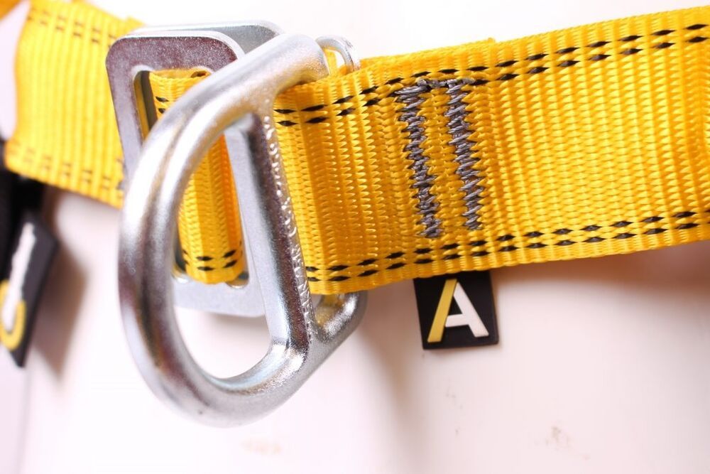 Front & Rear D Harness