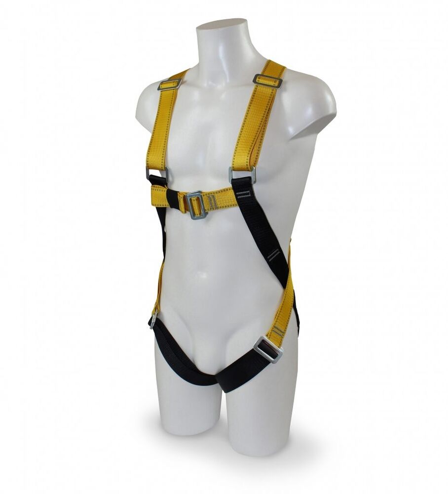 Rear D Harness