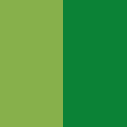 helder groen/groen