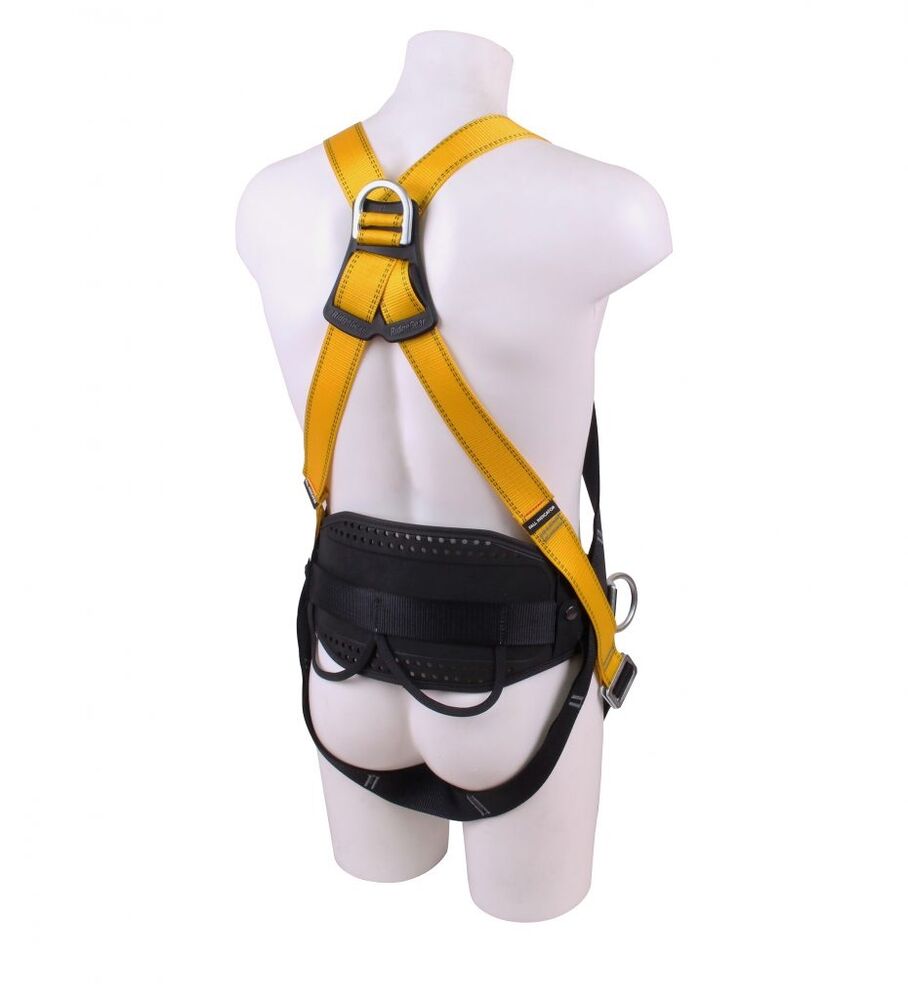 Front, Rear and Side D Harness