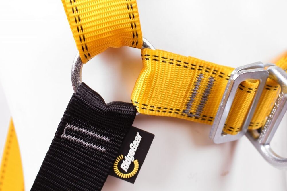 Front & Rear D Harness