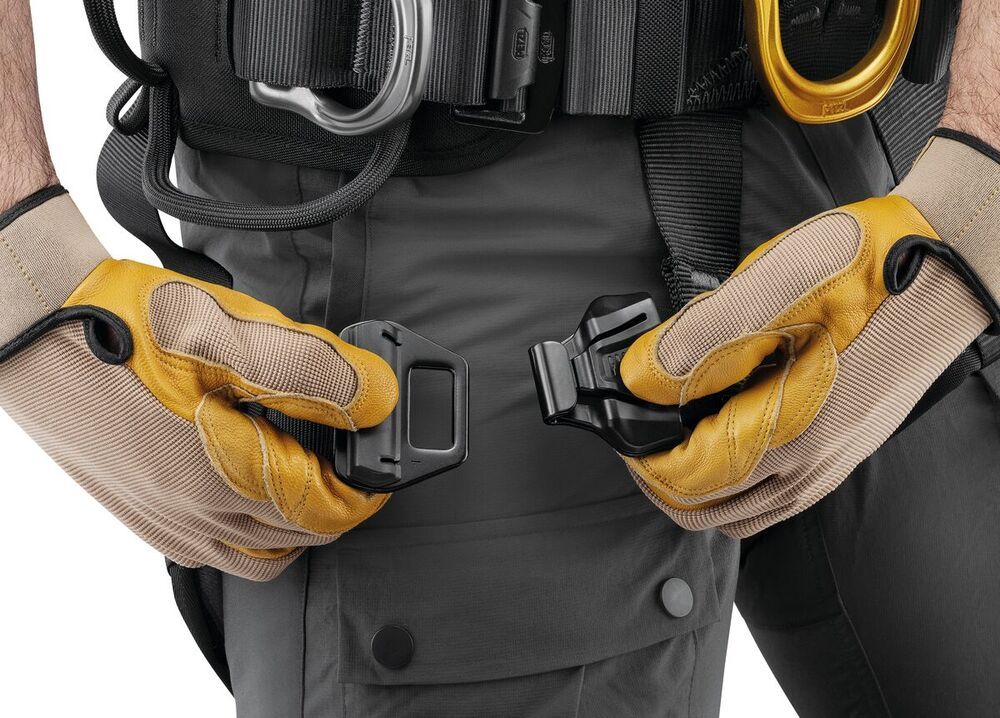Petzl  ASTRO® International Version