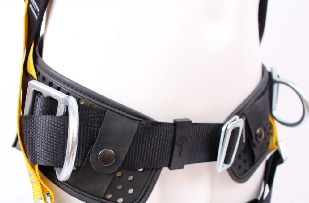 Front, Rear and Side D Harness